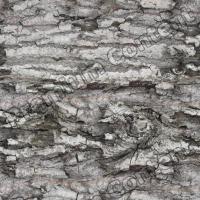 Seamless Bark 0001